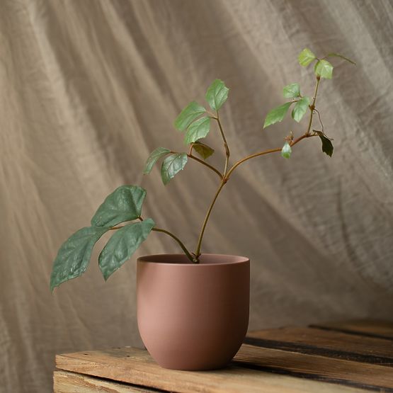 Blumentopf SHIRE Farbe Hellblau moderner Stil für den Innenbereich ameliahome