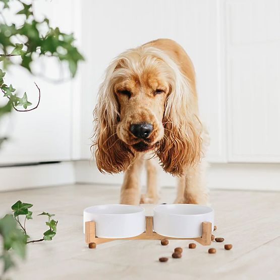 FUTTERSCHALE UND WASSERSCHALE FÜR TIERE WEISS 331579