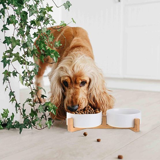 FUTTERSCHALE UND WASSERSCHALE FÜR TIERE WEISS 331579