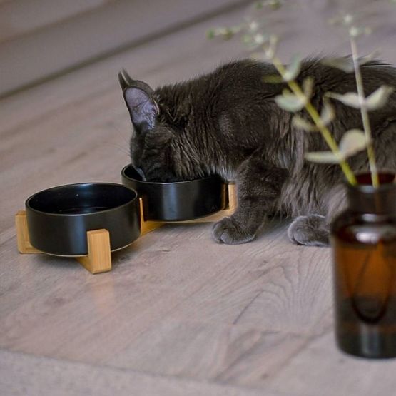 FUTTERSCHALE UND WASSERSCHALE FÜR TIERE WEISS 331579