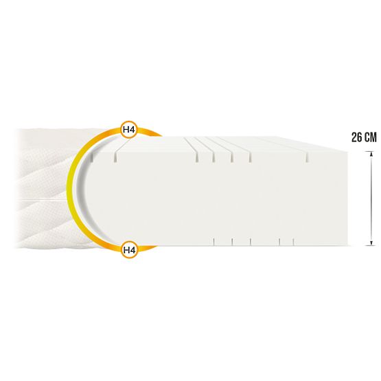 Goya Max Plus Schaumstoffmatratze 160 x 200 cm