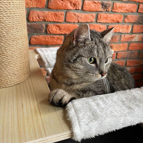 Großer Kratzbaum für Katzen Beige 255-265cm P70503