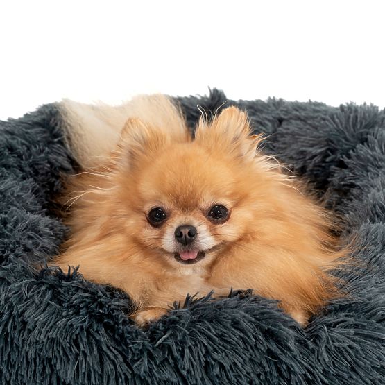 HAUSTIERBETT PJ-005 DUNKELGRAU XL