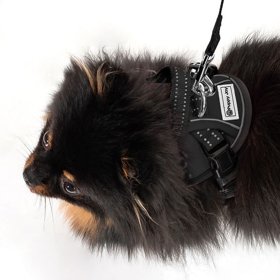 Hundeleine und Geschirr PJ-047 schwarz XS