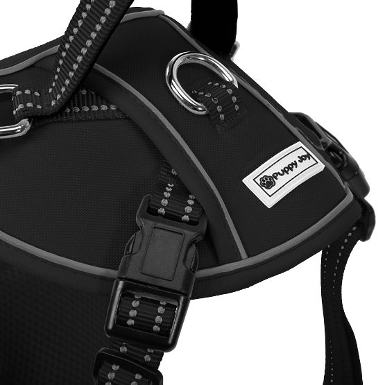 Hundeleine und Geschirr PJ-047 schwarz XS