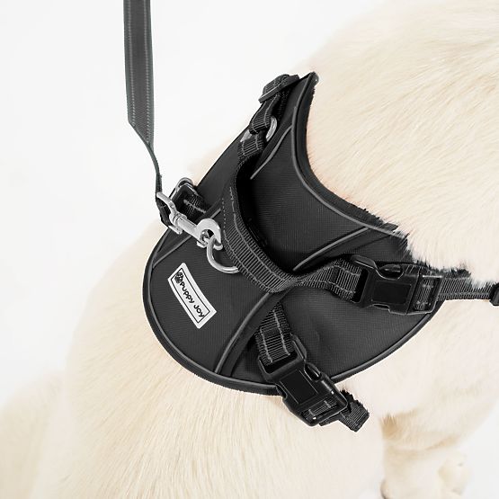 Hundeleine und Geschirr PJ-063 schwarz XL