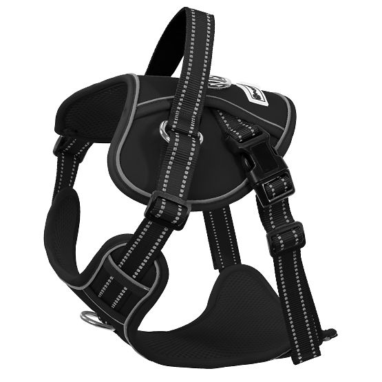 Hundeleine und Geschirr PJ-063 schwarz XL