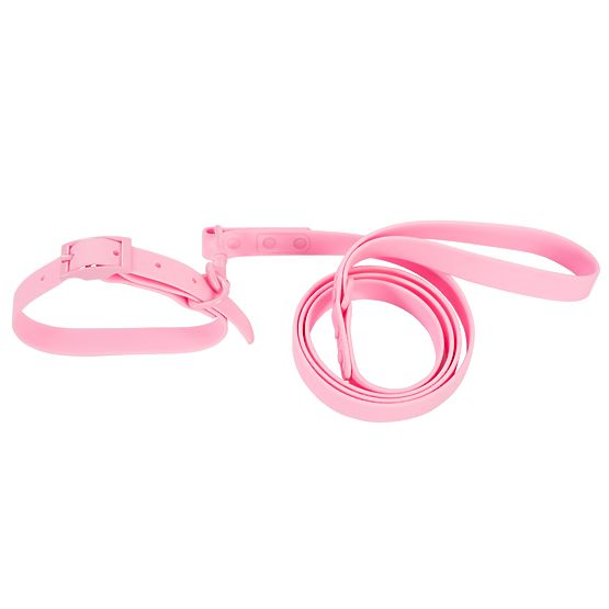 Hundeleine und Halsband PJ-072 rosa M