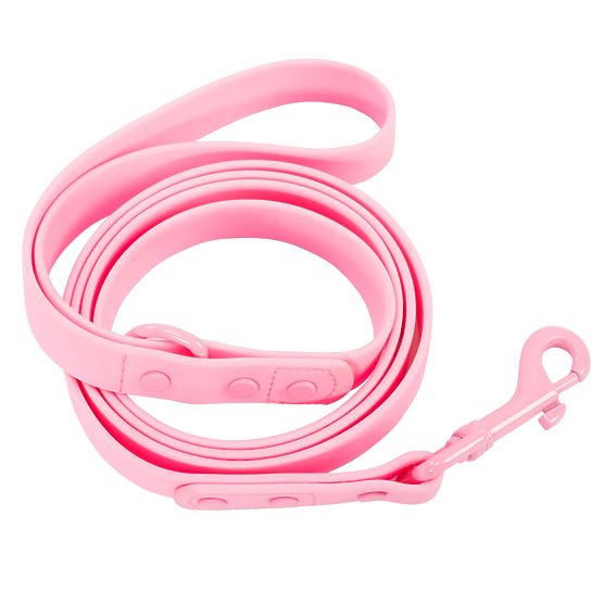 Hundeleine und Halsband PJ-072 rosa M