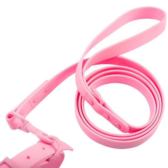Hundeleine und Halsband PJ-072 rosa M