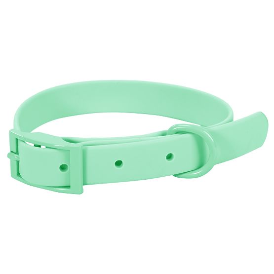 Hundeleine und Halsband PJ-073 grün M