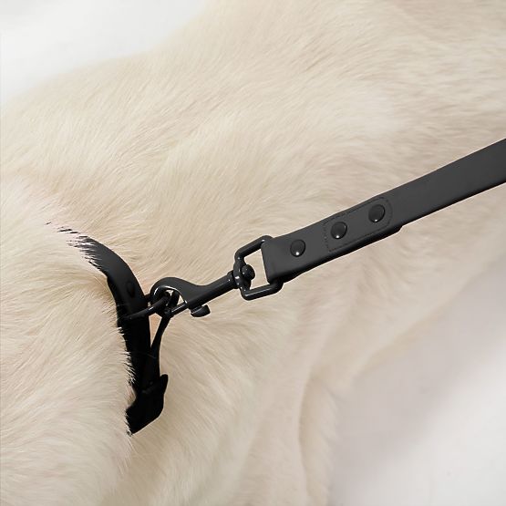 Hundeleine und Halsband PJ-075 schwarz L