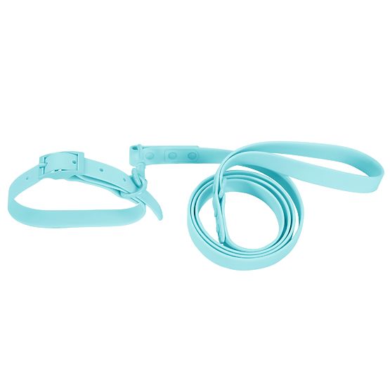 Hundeleine und Halsband PJ-078 blau L