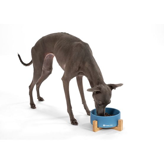 Keramiknapf für Hund oder Katze blau PJ-033