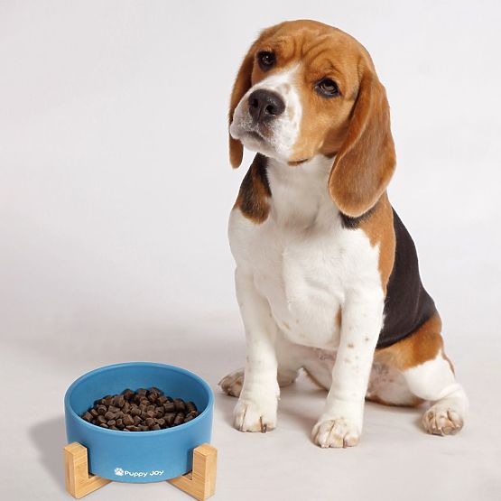 Keramiknapf für Hund oder Katze blau PJ-033