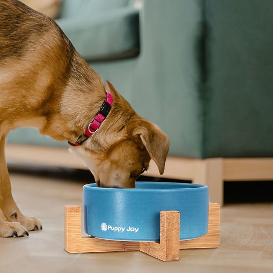 Keramiknapf für Hund oder Katze blau PJ-033