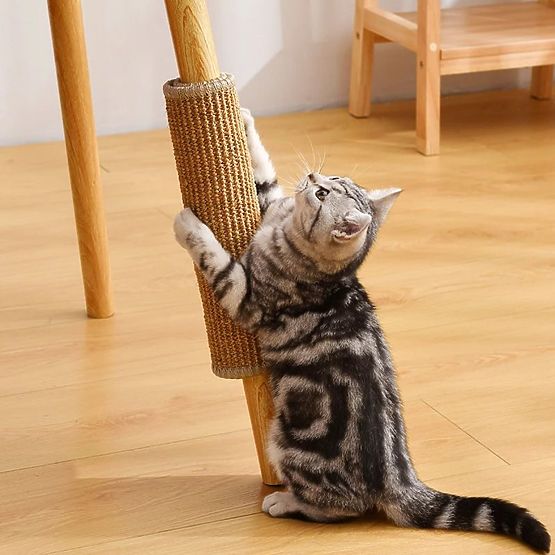 KRATZMATTE FÜR KATZEN 60x40cm 332494