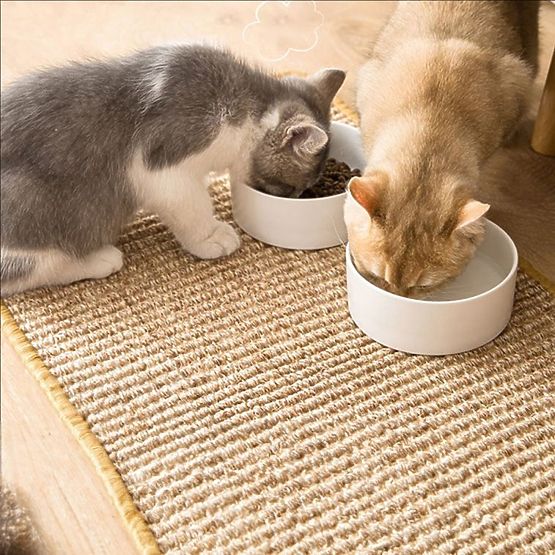 KRATZMATTE FÜR KATZEN 60x40cm 332494