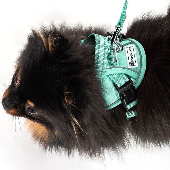 Leine und Geschirr für Hunde PJ-049 grün XS