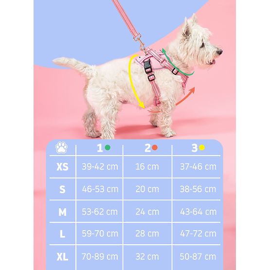 Leine und Geschirr für Hunde PJ-058 Blau M