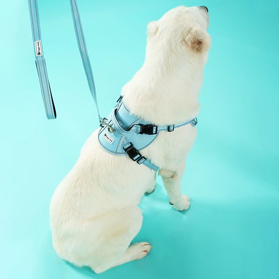 Leine und Geschirr für Hunde PJ-066 Blau XL