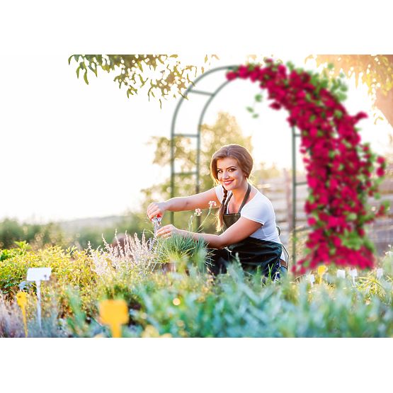 Metallpergola Bogen schwarz 240 cm