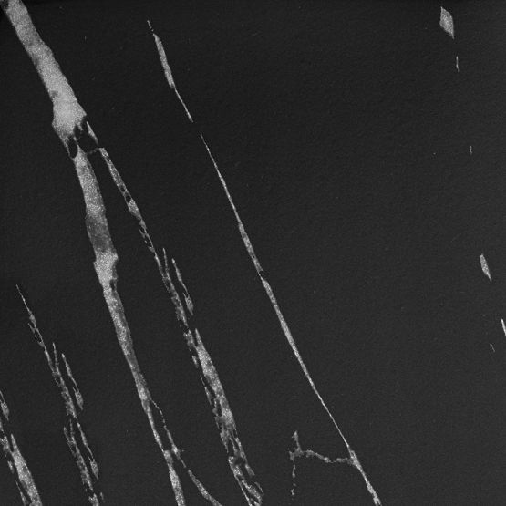 Pflanzenständer Mogren schwarzer Marmor