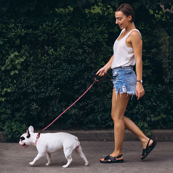 Reflektierendes Hundeleine und Halsband PJ-036 Rosa