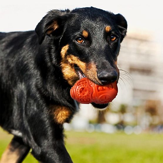 Roter Kauspielzeugball für Hunde PJ-046