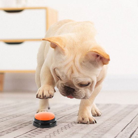 Satz von 4 Kommunikationstasten für Hunde TALKER