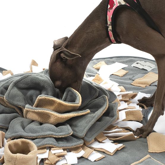 SCHNÜFFELMATTE FÜR HUNDE PJ-028