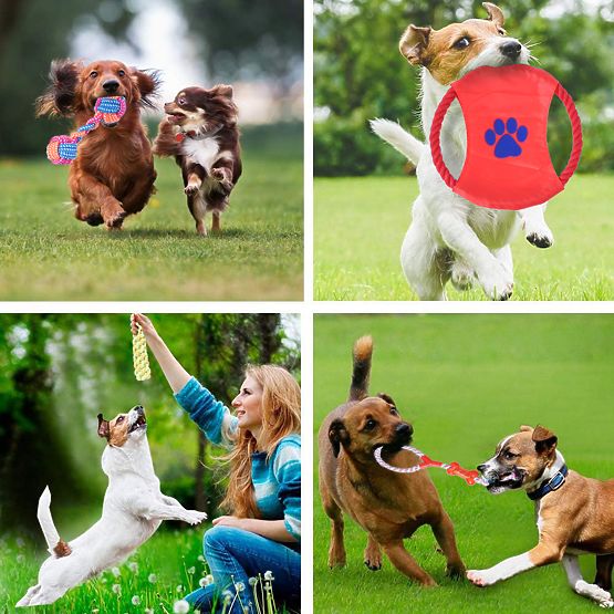 Set von 10 Hundespielzeugen DYLAN Zerrspielzeuge