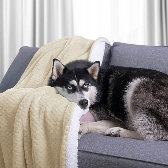 SHLEEPY Decke beige mit Jacquardmuster klassischer Stil 220x240