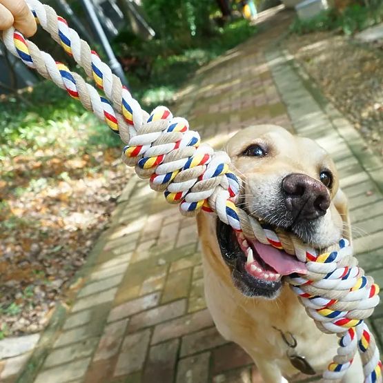 Spielzeug Zerrspielzeug mit Knoten WALLY 60 cm