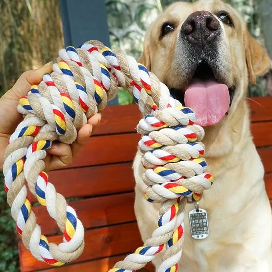 Spielzeug Zerrspielzeug mit Knoten WALLY 60 cm