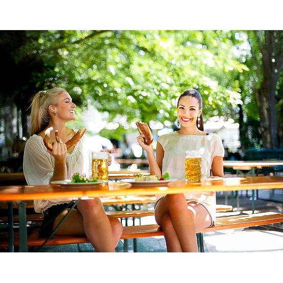 Stahl-Holz-Set LAGER: Tisch + 2 Bänke 220 cm