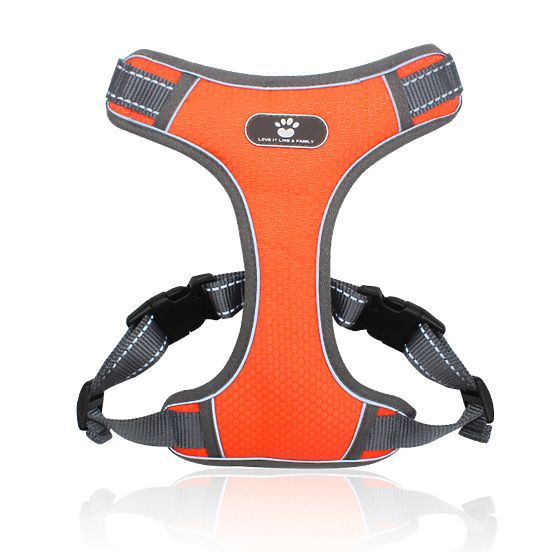 Trainings-Gassigehgeschirr für Hunde ASTRO orange Größe XL
