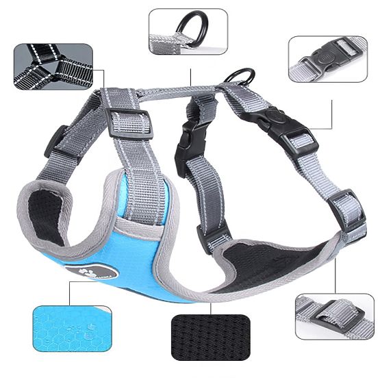 Trainingsgeschirr für Hunde ASTRO blau Größe XL