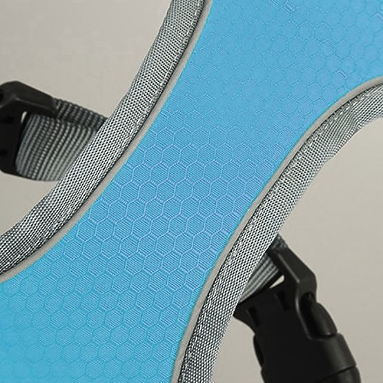 Trainingsgeschirr für Hunde ASTRO blau Größe XL