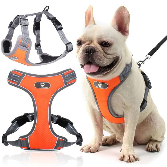 Trainingsgeschirr für Hunde ASTRO orange Größe M