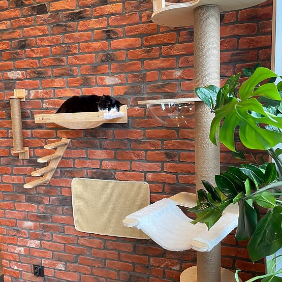 WANDKRATZER FÜR KATZEN 332526