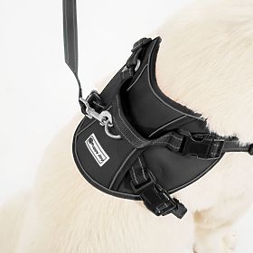 Hundeleine und Geschirr PJ-059 schwarz L