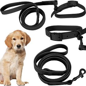 Hundeleine und Halsband PJ-071 schwarz M, PuppyJoy