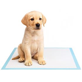 Hygienische Unterlagen für Tiere BARRY 60x90 50 Stk.