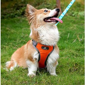 Trainingsgeschirr für Hunde ASTRO orange Größe M